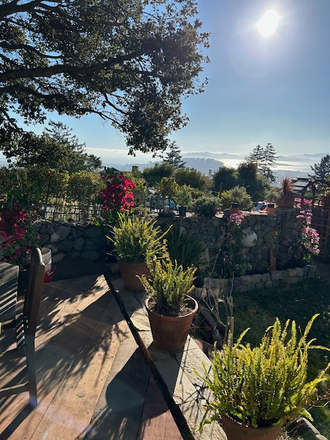 Views of the bay on a clear day - J. Robert Oppenheimer historic  home & sculpture gardens in picturesque Kensington
