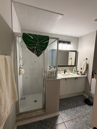 Bathroom - Master bedroom close to campus Townhome