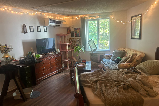 View from entrance hallway/kitchen wall - The Tower - private studio - 4 minute walk to campus Apartments