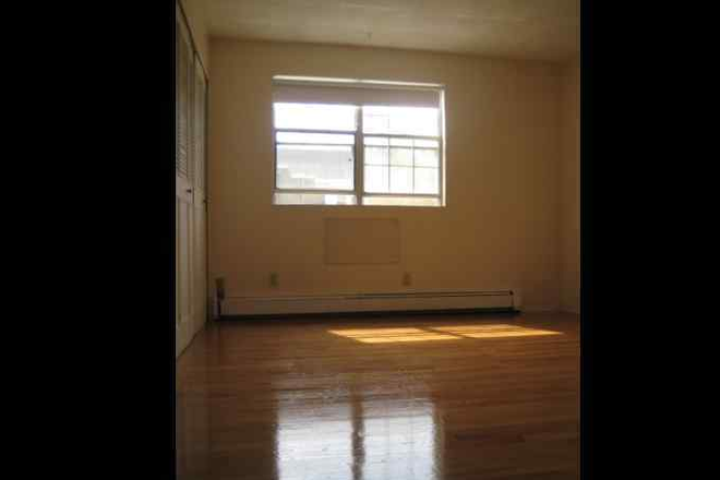 living - Fantastic location! minutes to redline, Porter/Davis sq, Harvard , laundry on site Apartments