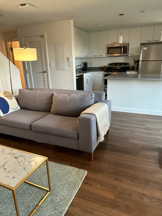 View from the other side of the living room - *SUMMER SUBLET* $3000 for Furnished 2 Bed/1.5 Bath Duplex - Soldiers Field Park near HBS