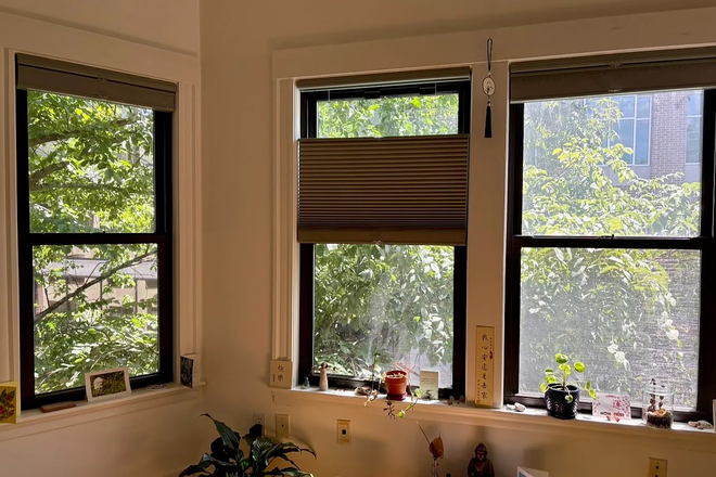 Street facing view - *NO BROKER FEE* 2 bed / 1 bath with washer/dryer in unit Condo