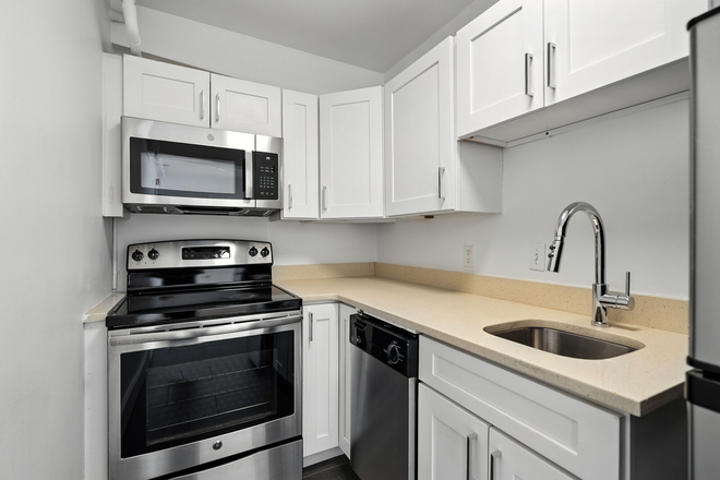 kitchen - Sunny Coolidge Corner Studio available now - two months free! Apartments