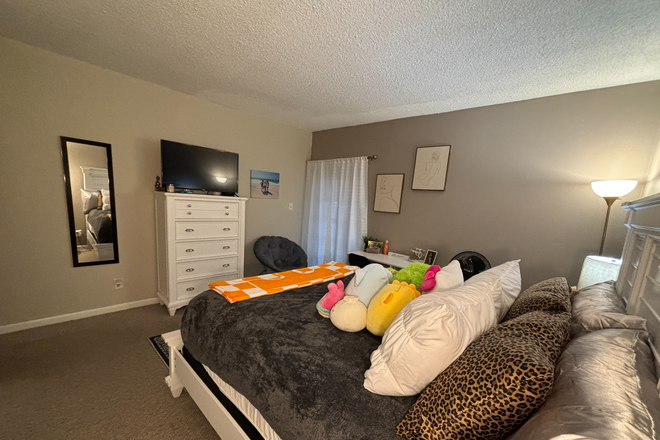 Corner view of bedroom. - $800/month, Westcliff Condominiums, 10-minutes from campus, Gated Community