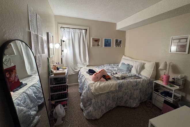 Bedroom - Celeron Square Apt- 2 MONTHS FREE!!! Quiet 2 bed, 1 bath Apartment w/ MALE Roommate Spring 2026