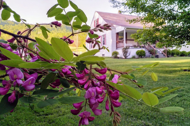 Photo - Quaint Country Cottage On Large Lot Near Downtown Blacksburg House
