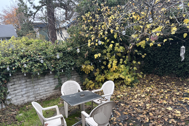 Enclosed Backyard/Patio - 16th & Hilyard Corner Street House