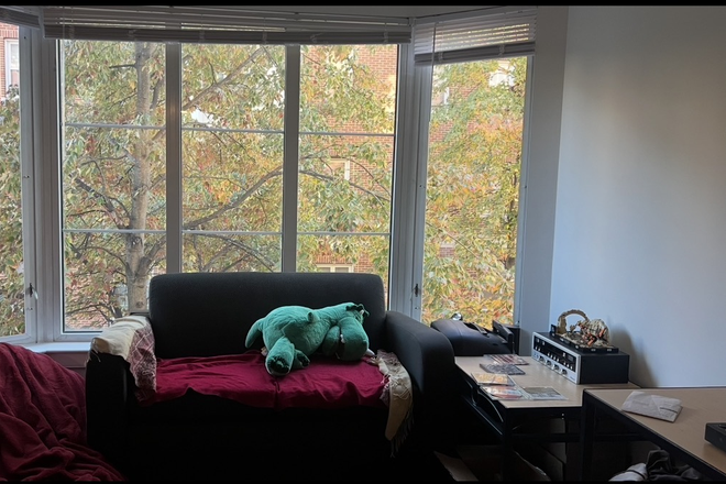 Living room window view - Spring/Summer 2026 Commons 5 Apartment