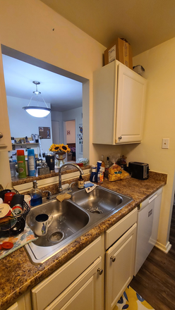 Kitchen part two - 1 bed 1 bath close to campus! Apartments