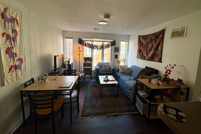 Living Room - SCC1 4 Bed/2 Bath Apt. Lease for Spring 2026, Great Women Roommates, Cute Living Room