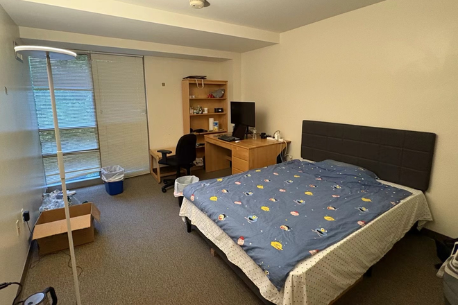 Bedroom - MIT Student Housing - Sidney-Pacific Apartments