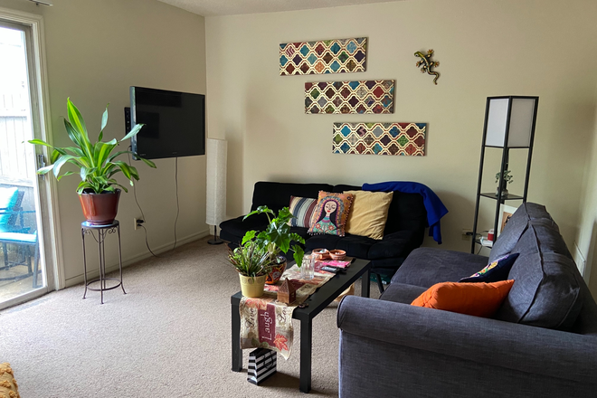 Living room with couches, tv, and plants - Sugartree Apartments