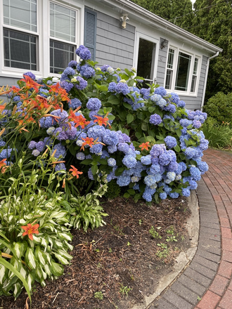 Front of the house - 3 bedroom, 15 min to campus