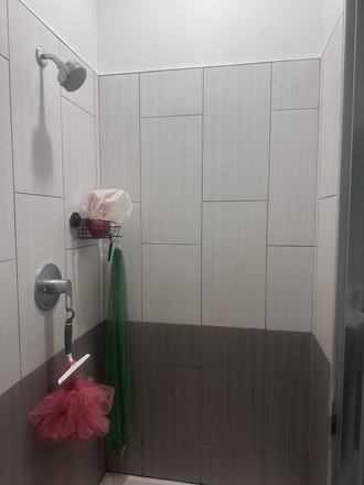 Shared Bathroom - The Soto 4x3 June to August Sublease Apartments