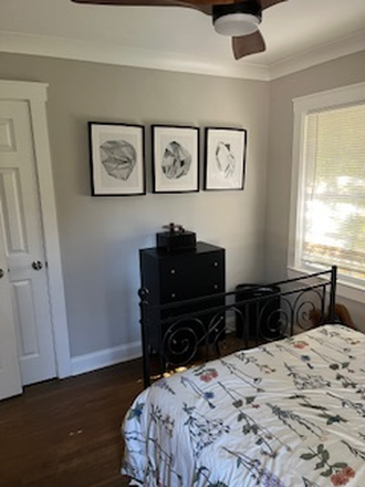 small dresser and closet - SHORT TERM available House