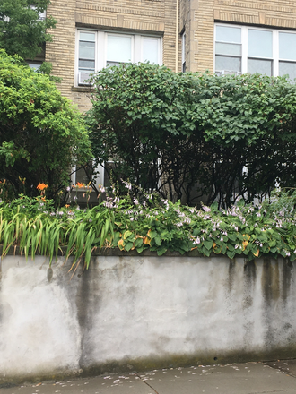 visit hubrealtyproperties.com - Fantastic 1 bedroom with sunporch, in brownstone, on the green line T Apartments