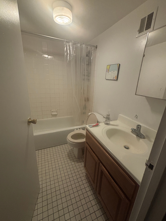 Bathroom - 3 Bed 1 Bath in East Village Apartments
