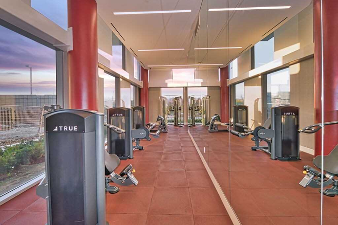 Gym - 1 Bedroom for rent in 2 bed room condo Close to York and UFT