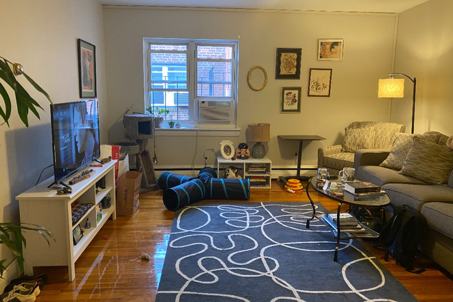Living Room - Available September 1st! 2 bed 1 bath close to BC shuttle, heat and hot water Included.