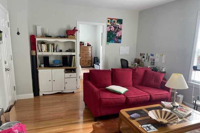 living - renovated, spacious, charming, a/c, MIt, Charles river, medical area Apartments
