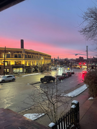 View from Bedroom - Beautiful Apartment in the Historic Deming House, Cedar-Fairmount Neighborhood