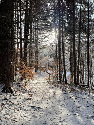 Trails - 2 Rooms, loft, private bath and entry on 140 acre oasis - sauna, trails, ponds, animals