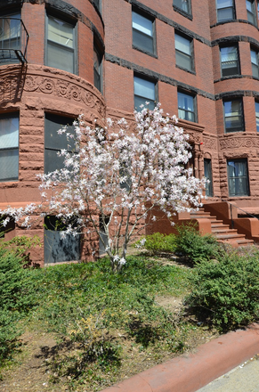 exterior - Right across the river in Back Bay Apartments