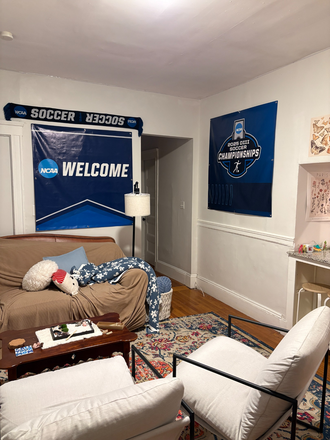 Living Room - Apartment close to Tufts campus, Boston-accessible
