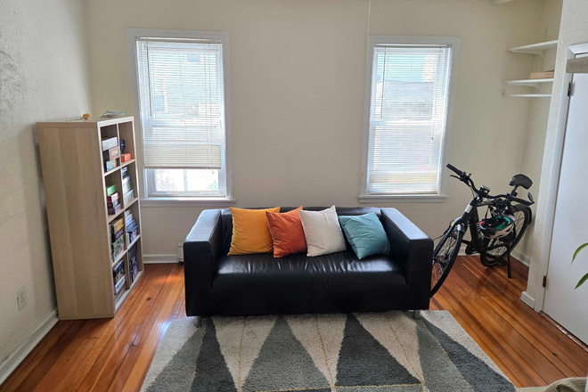 Living Room - Room in East Cambridge Apartment for September 1st!