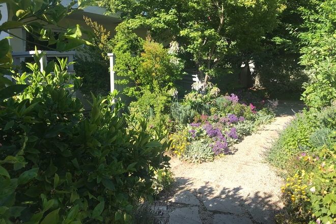 Path to home - Secret Garden Home, Ideal Berkeley Location