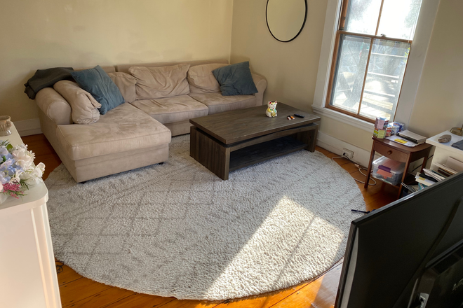 living room - Spacious 2 Bed in Harvard square Apartments