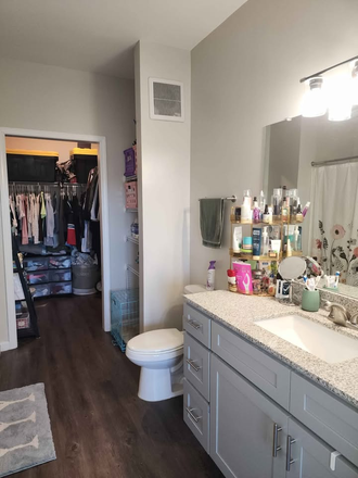 Bathroom - Bellamy Apartments