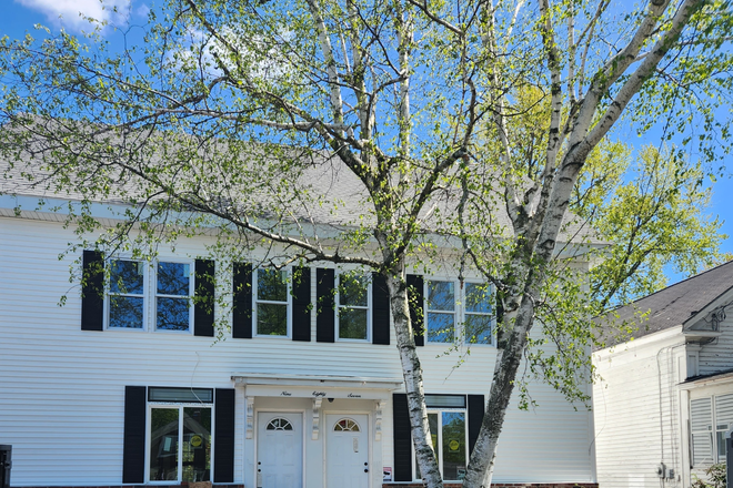 Entry Door - Light Filled 2 BR Walking Distance to North Campus with Private Deck off Kitchen Triplex