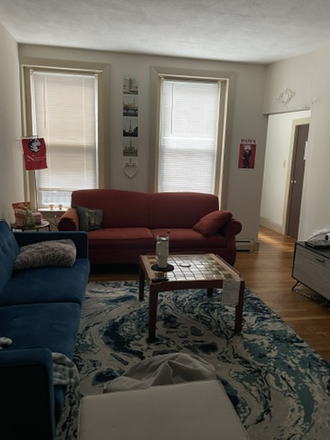 Living room - Summer 1+2 Sublet - Mission Hill Private Bedroom  || 2 bed, 1 bath apartment 12 min walk to campus