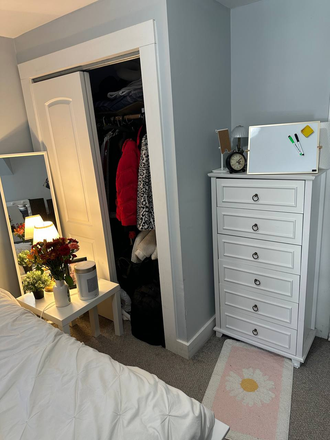 Drawer, mirror, etc - Sublease one full furnished private room, January to end of May Apartments