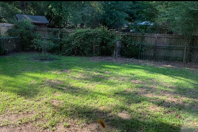 Yard - Single Family House close to Downtown