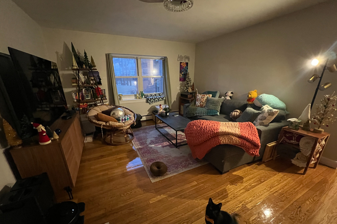 Living Room - Cozy Apartment on Chiswick Rd. 2 Bed, 1 Bath