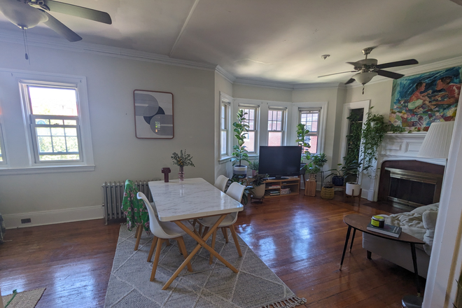 Living room - Large Sunny Room in 2 Bedroom through August 31 2026