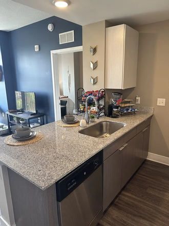 Sink and Countertop - The Standard at Gainesville (Relet) Across the Street from Campus Apartments