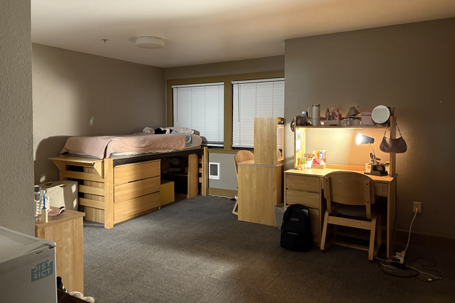 Studio - Studio Double next to campus