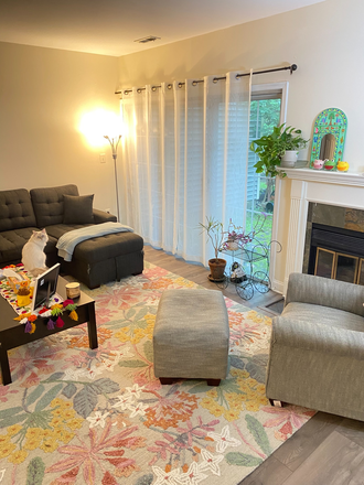 Living room with fireplace - Room in town house-Juniper Ct-South Brunswick