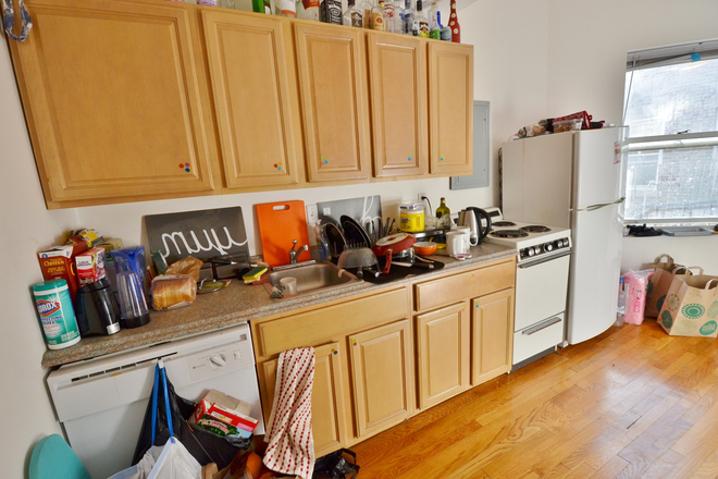Kitchen - Large updated one Bedroom in Symphony Rd walk to campus No FEE 9/1/26