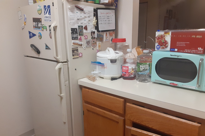 Kitchen - Harbor Point on the Bay Apartment - Shared housing, two girls to a room