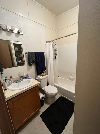 bathroom - Puffton village, from Jun first, good price I'm looking for a housemate for 2 bed/1bath