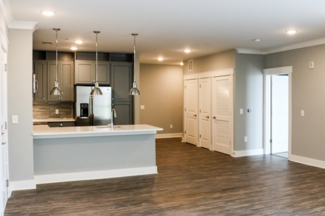 living room - 4 Bed, 4 Bath (B-4D) All Girls Apartment Spring Sublet