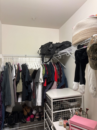 BR 1 Walk-in Closet (other bedroom has a normal closet I forgot to take a picture of) - Cary Belvidere Apartments