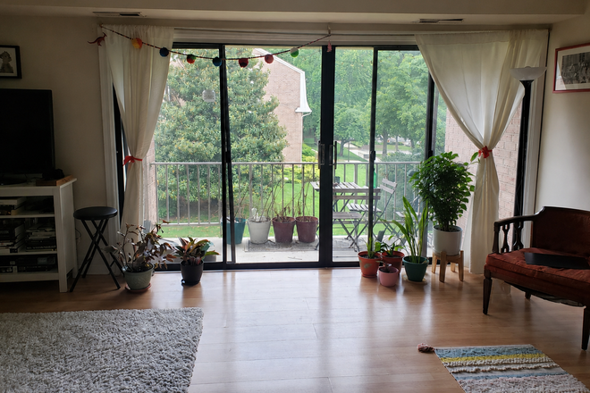 Living room - Cozy Furnished Room Near UMD – Ideal for Graduate Students Apartments
