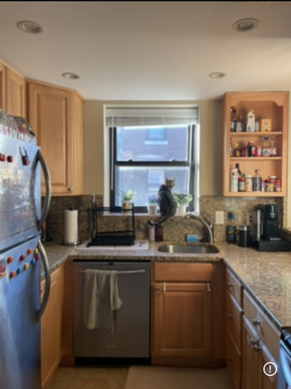 Kitchen (featuring Auggie) - Looking for Sublet May-September 2026!! Apartments