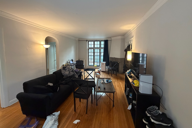 Living Room - Large furnished 1b1b in the heart of downtown Evanston - Summer Sublet