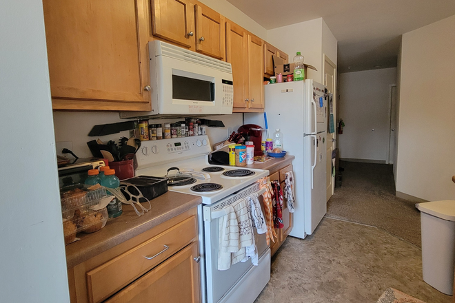 Kitchen - Share Apartment Rent Free